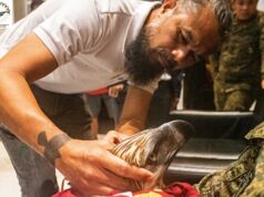 Philippine eagle ‘Mangayon’ patay sa tama ng bala sa Davao