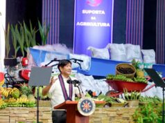 Panawagan sa Cordillera Autonomy, pag-iisipan ni PBBM