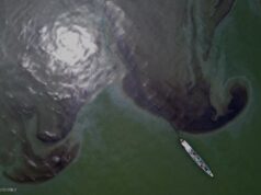 Tiu Laurel sa BFAR: Mga mangingisdang apektado ng Bataan oil spill tulungan