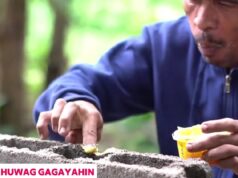 Mukbanger sa Iloilo, hollow blocks ang trip ngatain
