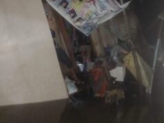 Pamilyang mahimbing na natutulog sa loob ng bahay ibinuwal ni Carina