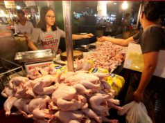 Mga mananamantala sa presyo ng manok pananagutin ng DA