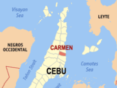 ‘Pagpapakain’ ng tuta sa ahas, bayawak sa Cebu tinatalupan