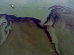 Pangingisda sa Manila Bay ‘di maipapayo ng PCG kahit wala pang fish ban