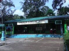Prinsipal na nahulog sa bubong sa paglilinis ng iskul, sumakabilang-buhay na