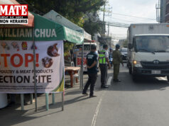 Traders ng mga baboy na nabuking na positibo sa ASF kakasuhan