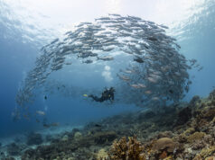 PH itinanghal na ‘best diving destination’