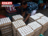 Mas mataas na kita, mas malawak na access sa merkado para sa mga egg producer – PCO