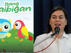VP Sara: ‘Isang Kaibigan’ hindi political tool