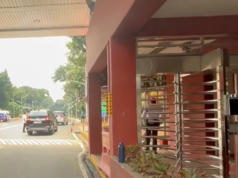Cassandra Li Ong ililipat sa Kamara, Shiela Guo sa Senado