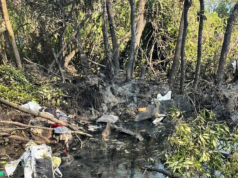 9 pinaniniwalaang patay sa bumulusok sa aircraft sa Thailand