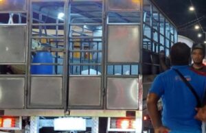 Bakuna vs ASF, target ipamahagi ng DA sa Q3