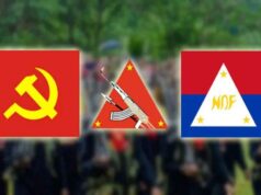 UP alumna, inilahad sa Senado kung paano naloko ng CPP-NPA-NDF