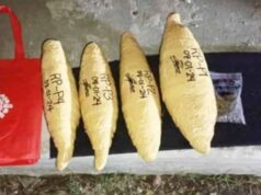 P1.4M droga nasabat sa Bulacan, Pampanga