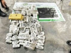 56 parcel na may lamang marijuana bricks nasamsam sa Laguna