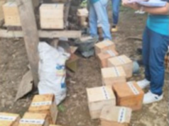 Endangered stingless bees narekober ng NBI, DENR sa Laguna