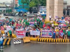 Kahit may Senate reso, suporta ni PBBM sa PUVMP buo pa rin – LTFRB