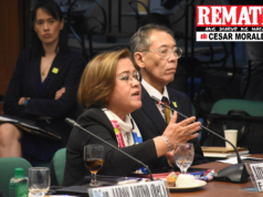 De Lima, Diokno, Ridon posibleng makasama sa prosecution team sa impeachment trial ni VP Sara