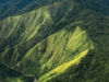Malaking bahagi ng Luzon sinangga ng Sierra Madre sa Bagyong Pepito – PAGASA