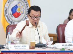 Chua kay VP Sara: Mga tao naghihintay sa paliwanag tungkol kay Mary Grace Piattos