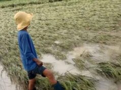 Kaso ng land disputes ng mga lupang agraryo, ipinanawagan ng mga magsasakaya kay PBBM