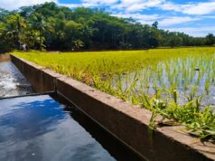 Pagpapalawak ng irrigation support para sa mga magsasaka, itinutulak ni PBBM
