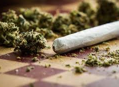 HVI, swak sa P.1M halaga ng high-grade marijuana sa Valenzuela