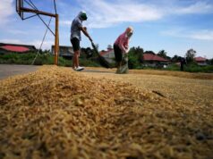 Maayos na sistema at disiplina, solusyon sa pautang sa agrikultura – solon