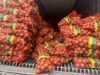 P11.6-B smuggled agri products nasabat; 218 katao kinasuhan