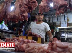 Pag-angkat ng baboy sa Pinas, ipinagbawal ng Tsina vs swine flu
