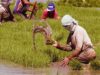 DA pinaigting pagtugis sa pekeng farm inputs sa buong bansa