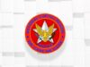 15,000 pulis ipakakalat sa September 21 rallies – NCRPO