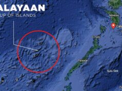 UP MSI naglunsad ng website na nagbibida sa biodiversity, research sa Pag-asa Island