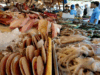 Shellfish ban, ipinatupad sa Matariñao Bay dahil sa red tide