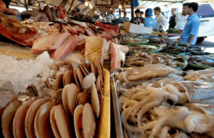 Red tide naitala sa Leyte; shellfish ban sa Samar – BFAR