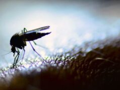 Climate change, nagpapalawak ng mga mosquito-borne diseases – siyentipiko