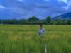 Agricultural Information System vs. Super El Niño, ikakasa ni Gatchalian