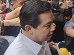Pagsasampa ng kasong plunder ng Ombudsman vs Romualdez, ginagalang ng Malakanyang