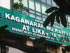 Pagbunot ng puno sa Roxas Blvd, iimbestigahan ng DENR