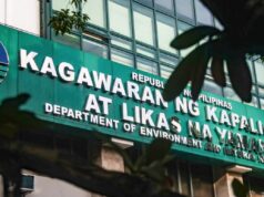 Pagbunot ng puno sa Roxas Blvd, iimbestigahan ng DENR