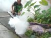 Mahigit 2,000 kaso ng dengue, naitala sa Maynila