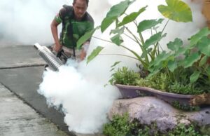 Mahigit 2,000 kaso ng dengue, naitala sa Maynila