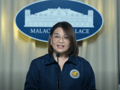 Akusasyong pagkausap kay Jinggoy para tumalikod sa majority bloc paninira lang – Castro