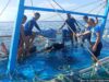 1 patay, 1 nawawala sa bumaligtad na mga motorbanca sa Masbate