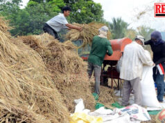 Mahigit P509-M utang sa lupa ng 8,500 magsasaka sa Davao Region pinatawad ng DAR