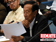 PBBM: Sandigan na bahala sa pagka-state witness ni Bonoan