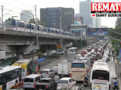 P229-M pondo para palawakin EV program sa 2027, isinusulong