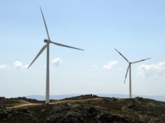 Carbon neutrality, sustainable growth maaabot ng ASEAN pagsapit ng 2030