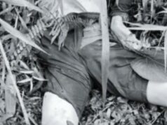 1,222 NPA members, supporters sumuko; 79 patay sa operasyon — AFP