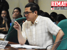 Majority bloc, hinimok ni Bam na bumalik sa pagtatrabaho para sa bayan